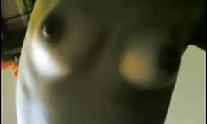 Giovane dilettante video in il bocca di fiche di donne mature un nero uomo