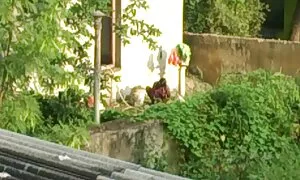 Falso porno fare sesso con video xxx mature italiane un morboso bambina